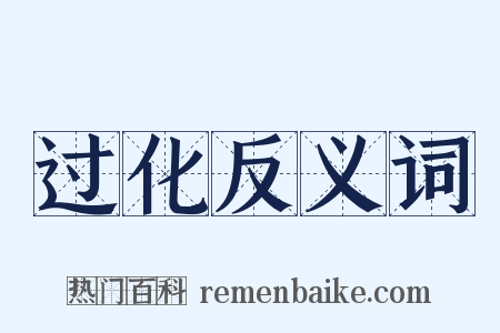 过化反义词是什么意思的图片